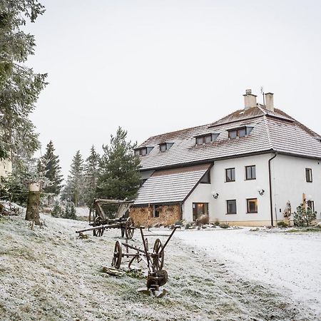 Апартаменти Mlyn Tatry Вельки-Славков Екстер'єр фото