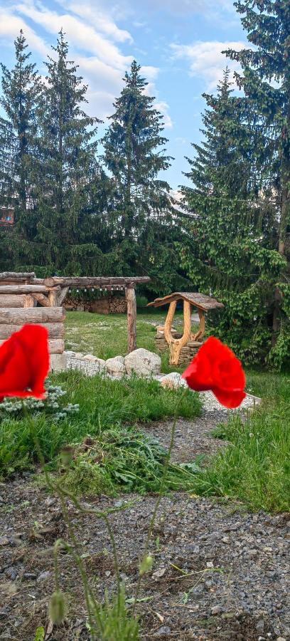 Апартаменти Mlyn Tatry Вельки-Славков Екстер'єр фото